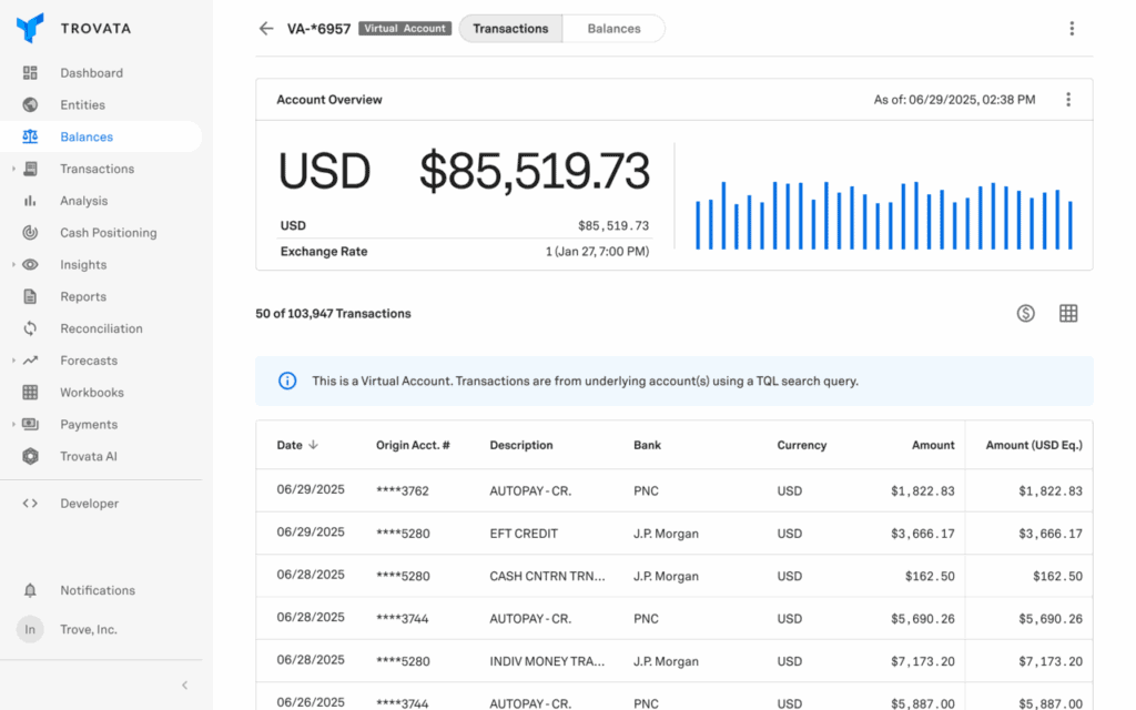 large balances virtual account