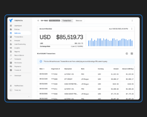 Introducing Virtual Accounts in Trovata: More Accurate Balance Tracking, Less Manual Work